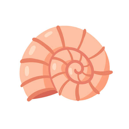 Spiral shellfish mollusk, animal from ocean marine life vector illustration. Cartoon shell conch from tropical sea waters or aquarium isolated on whiteのイラスト素材
