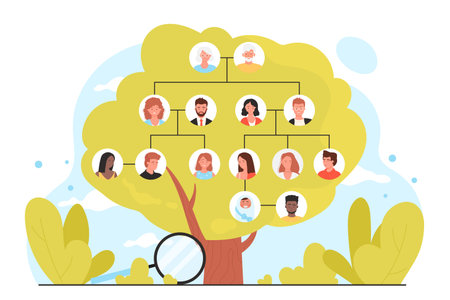 Genealogy, infographic family tree vector illustration. Cartoon green tree with portraits icons of four generations of relatives on branches, magnifying glass to study history and ancestry for reunionのイラスト素材