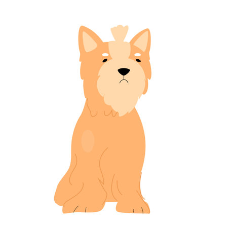 Cute maltese puppy dog. Fluffy adorable pet, domestic doggie friend vector illustrationのイラスト素材
