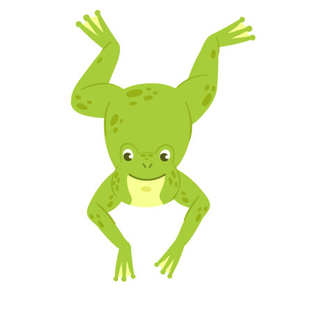 Jumping cute green frog. Lake water fauna, amphibian life vector illustrationのイラスト素材
