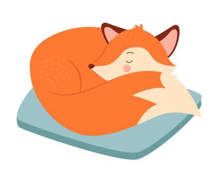 Cute fox sleeping on pillow. Lovely fox curled up in ball, forest animal vector illustrationのイラスト素材