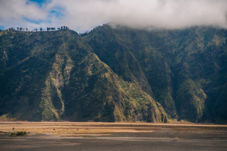 Landscape view of Bromo hills covered with vegetation. Bromo savanna field, Indonesian mount volcano viewの写真素材