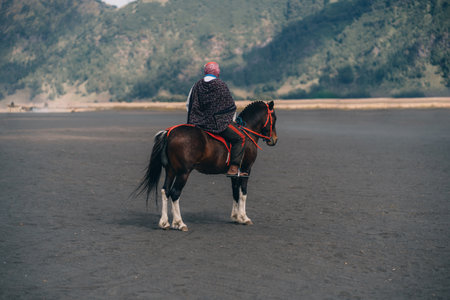 Bromo mount unrecognized horseman riding in the savanna desert. Horse trip in Semeru National Park Indonesiaの写真素材