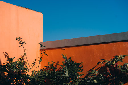 Close up shot of orange wall with brushes on blue sky background. Garden fence with vegetation and treesの写真素材