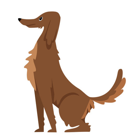 Breed dog in sitting position. Family doggy pet, fluffy puppy best friend vector illustrationのイラスト素材