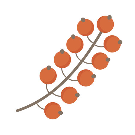Forest wild berries. Autumn harvesting season, decorative branch vector illustrationのイラスト素材