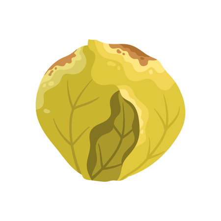 Rotten cabbage vegetable. Old food from fridge, moldy expired product cartoon vector illustrationのイラスト素材