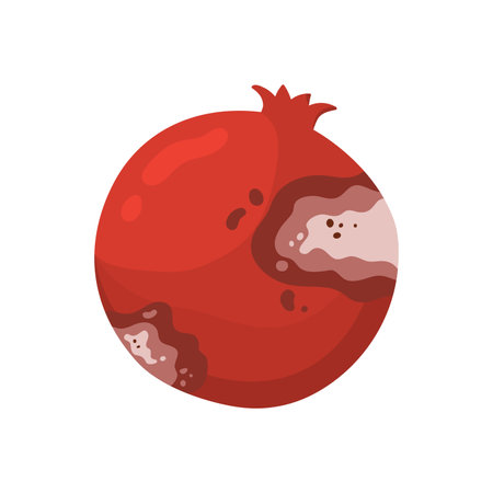 Rotten pomegranate fruit. Bad unhealthy food from kitchen, moldy expired tropical fruit cartoon vector illustrationのイラスト素材
