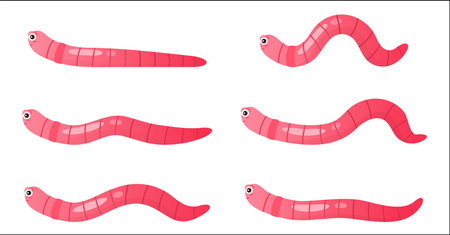 Earthworms crawl set, sequence game animation. Animated stages of walking funny pink worm character with cute comic face, action movement in soil of baby earthworm cartoon vector illustrationのイラスト素材