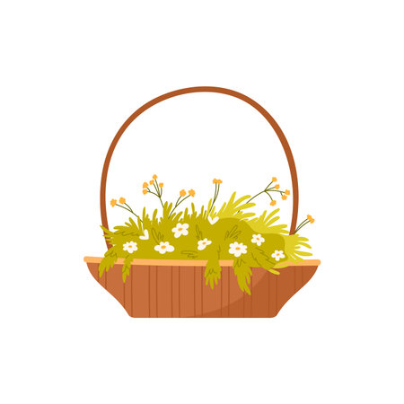 Basket with wild flowers. Flower market, florist shop, flower bouquets cartoon vector illustrationのイラスト素材
