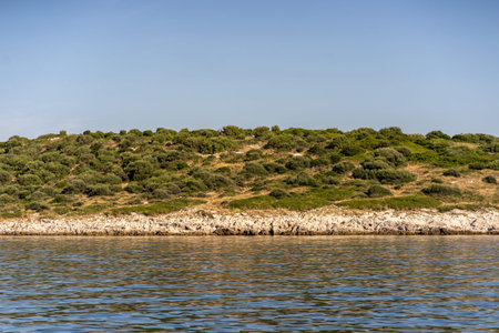 Strip of sea waves, rocky beach, grass and shrubs on hill of Dugi Otok island in Adriatic Sea,...