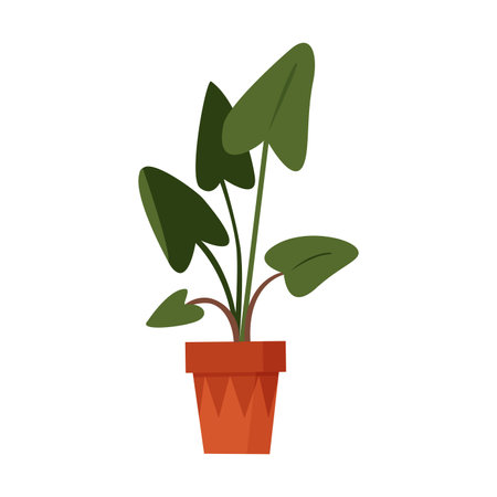 Decorative green plant in pot, houseplant of office or home summer garden vector illustrationのイラスト素材