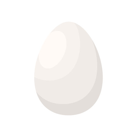 Whole white oval chicken egg, egg from incubator or hen roost vector illustrationのイラスト素材