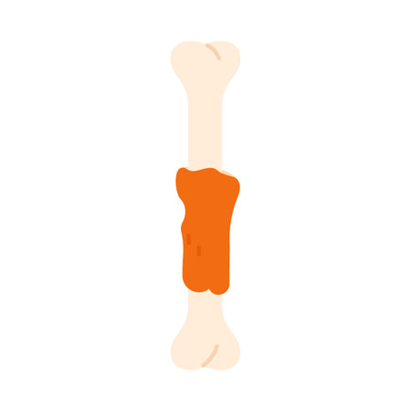 Bone from chicken leg with piece of meat left over after meal, dinner leftovers vector illustrationのイラスト素材