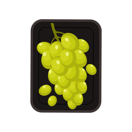 Ripe bunch of green grapes in rectangular plastic tray, top view vector illustrationのイラスト素材