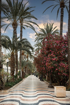 A beautiful pathway framed by palm trees and vibrant flowers, perfect for peaceful strolls of joy and relaxationの写真素材
