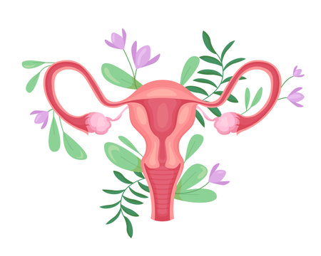 Female reproductive organs in blooming flowers and leaves vector illustrationのイラスト素材