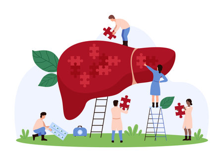 Vector illustration of tiny people using puzzle pieces to maintain liver health, focusing on medical care, treatment, liver wellness, and healthcare intervention.のイラスト素材