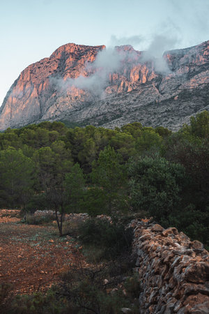 Early morning light illuminates Puig Campana mountain in Spain, with misty clouds, lush pine forest, and a rustic stone wall creating a tranquil natural landscape.の写真素材