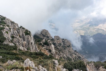 Steep rocky cliffs and lush green vegetation shrouded in misty clouds in the Puig Campana region, Spain. Ideal for nature, travel, adventure, and hiking themes.の写真素材