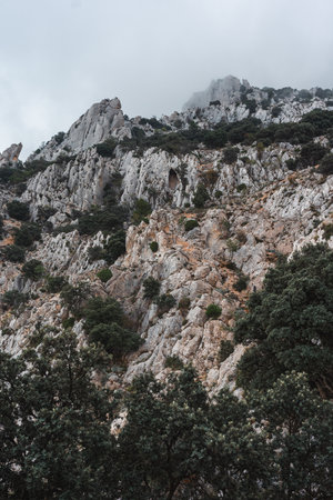 Steep rocky cliffs and lush green vegetation under cloudy skies in the Puig Campana region, Spain. Ideal for nature, hiking, adventure, and travel inspiration searches.の写真素材