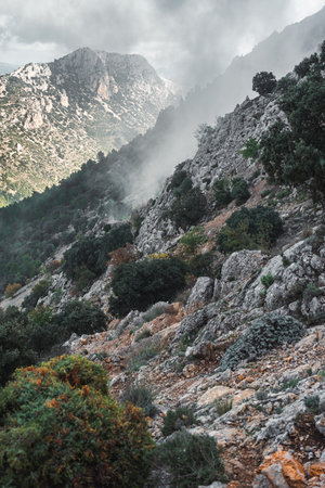 Steep rocky hillside with lush green shrubs and mist rolling over Puig Campana mountains, Spain. Perfect for nature, hiking, adventure, and travel inspiration visuals.の写真素材
