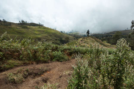 MOUNT RINJANI NATIONAL PARK, INDONESIA - JULY 22, 2016: People climb the hill on their way to Mount Rinjani on July 22, 2016 in Mount Rinjani National Park, Indonesiaのeditorial素材