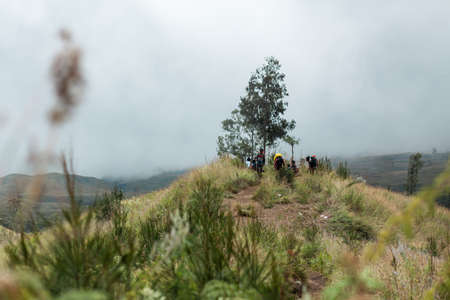 MOUNT RINJANI NATIONAL PARK - INDONESIA - JULY 22, 2016: Tourists stopped for camping on the trekking route to Mount Rinjani on Jully, 22 2016 in Lombok, Indonesiaのeditorial素材