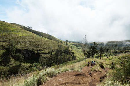 MOUNT RINJANI NATIONAL PARK, INDONESIA - JULY 22, 2016: Tourists climb the hill on their way to Mount Rinjani on July 22, 2016 in Mount Rinjani National Park, Indonesiaのeditorial素材