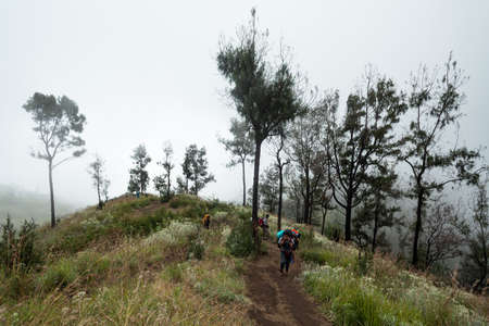 MOUNT RINJANI NATIONAL PARK, INDONESIA - JULY 22, 2016: People climb the hill on their trekking route to Mount Rinjani on July 22, 2016 in Mount Rinjani National Park, Indonesiaのeditorial素材