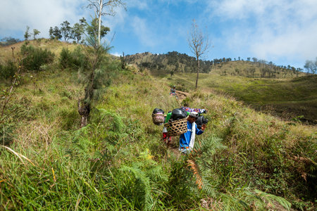 MOUNT RINJANI NATIONAL PARK, INDONESIA - JULY 22, 2016: Porters carry luggage on their shoulders on July 22, 2016 in Mount Rinjani National Park, Indonesiaのeditorial素材