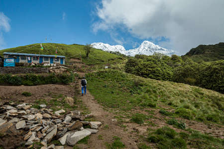 NEPAL - MAY 31, 2016: An unidentified man walks towards the homestay on the trekking route to Machapuchare on May 31, 2016 in Nepalのeditorial素材
