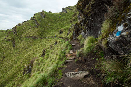 Narrow footpath through the green-capped mountain. Trek to Machapuchare, Nepalの写真素材