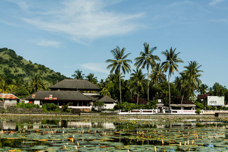 Beautiful landscape of a pond with water lilies, Bali, Indonesiaの写真素材
