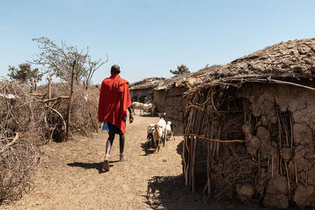 MBOSELI NATIONAL PARK - SEPTEMBER 17, 2018: Maasai warrior and cattle-rustler walking in the villageのeditorial素材