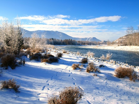 Winter landscape with snow trees and river in mountains の写真素材