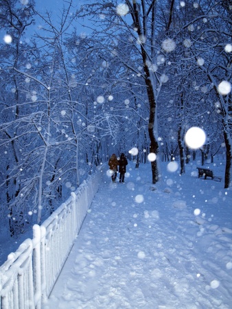 Alley in a park covered with snow and couple in walking in winter park in snowfall.の写真素材