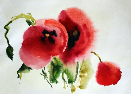 Original watercolor illustration of Poppiesの写真素材