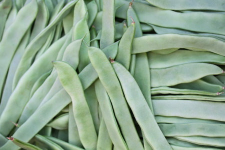 Fresh green French bean background