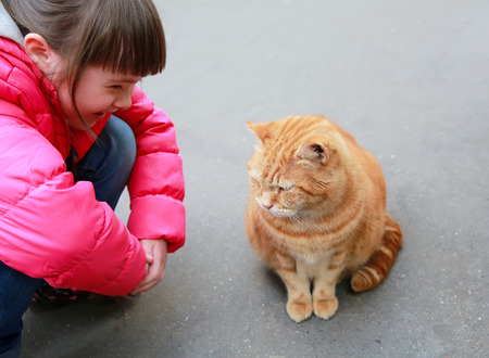 Girl speaking with cat on the streetの写真素材
