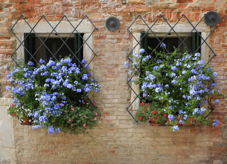 Windows in Venice, Italyの写真素材