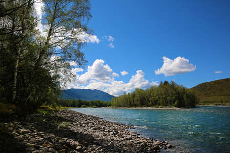 Katun river in the Altai mountainsの写真素材