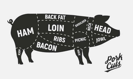 Meat or pork cuts vintage poster for butcher shop. Retro diagram vector illustration.のイラスト素材