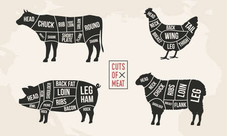 Set of Meat diagrams. Cuts of meat. Cow, Chicken, Pig and Sheep silhouette. Vintage Posters for groceries, butcher shop, meat store. Vector illustrationのイラスト素材