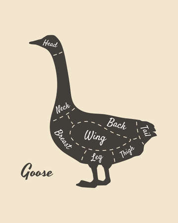 Meat diagram. Cuts of meat. Goose silhouette isolated on white background. Vintage poster for butcher shop, restaurant menu. Vector illustrationのイラスト素材