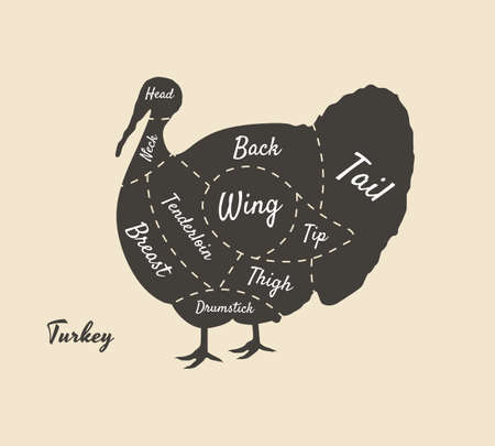 Meat diagram. Cuts of meat. Turkey silhouette isolated on white background. Vintage poster for butcher shop, restaurant menu. Vector illustrationのイラスト素材