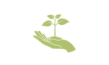 Hand holding young plant. Eco concept - plant with ground in hands. Environment related. Save planet nature environment. Vector illustrationのイラスト素材