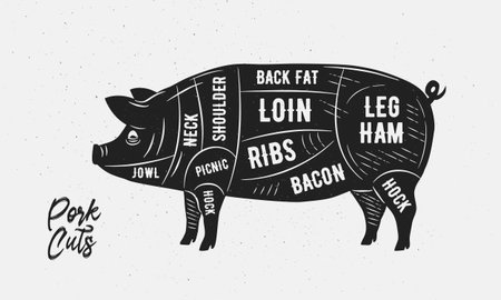 Cuts of Pork. Butcher Diagram, scheme, chart. Pig sketch silhouette isolated on white background. Vintage Poster for butcher shop, barbecue, restaurant. Vector illustrationのイラスト素材