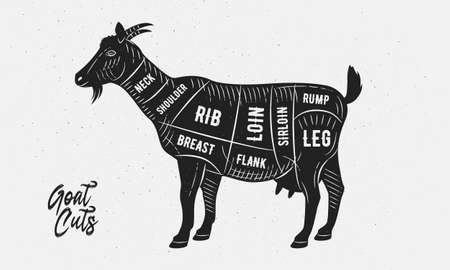 Butcher diagram, scheme set. Cuts of Goat. Goat silhouette isolated on white background. Vintage Poster for butcher shop. Vector illustrationのイラスト素材