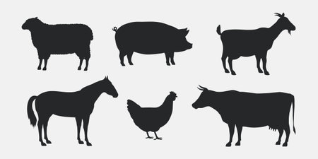 Silhouettes of Farm Animals. Cow, Pig, Sheep, Horse, Hen, Goat. Farm Animals icons isolated on white...